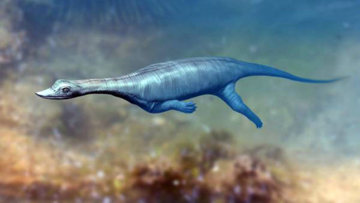 Featured image for Triassic Marine Reptile Species Unearthed