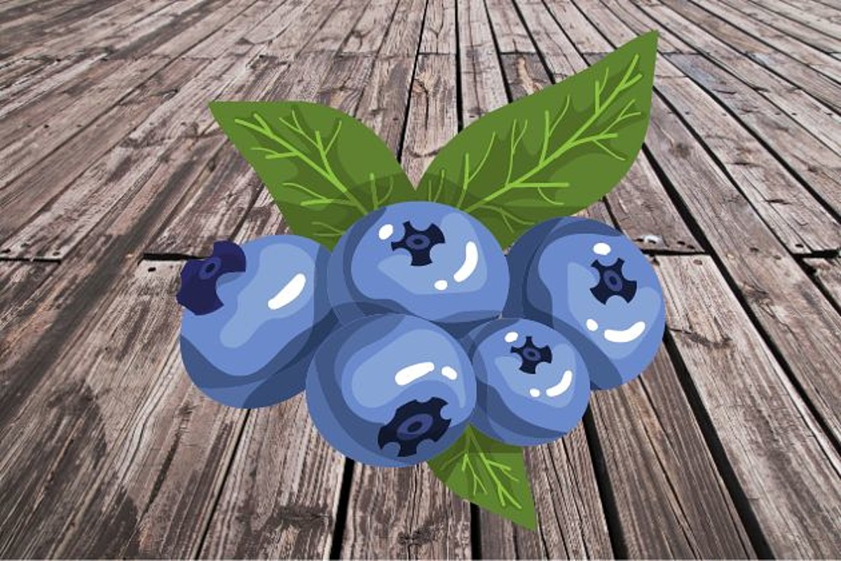 "NJ Shore Offers Free Jersey Fresh Blueberries for All"