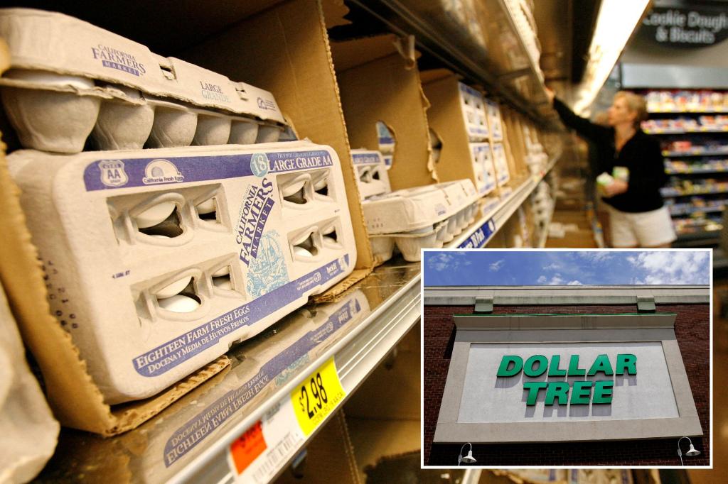 Dollar Tree Halts Egg Sales Due to High Prices