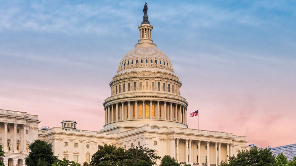 Featured image for Markets Mixed as Shutdown Progress and Tech Stocks Drive Movements