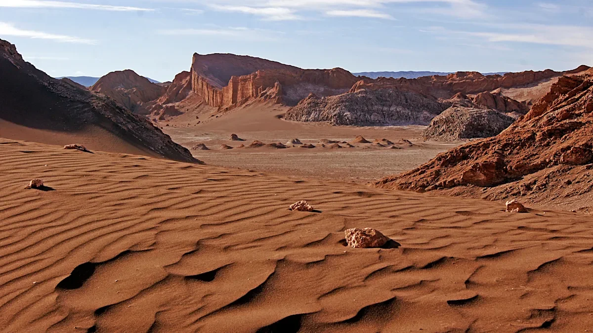 Nematodes thrive in the Atacama Desert, reshaping ideas about life in extreme dryness