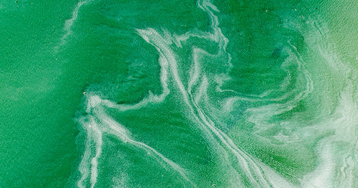 Featured image for "Warning: Scientists Fear Collapse of Atlantic Ocean Current System"