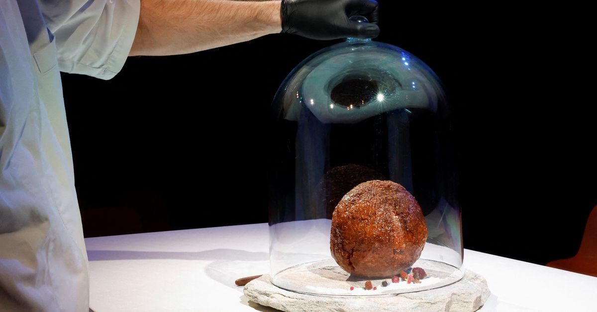 Featured image for "Startup creates mammoth meatball using DNA technology"