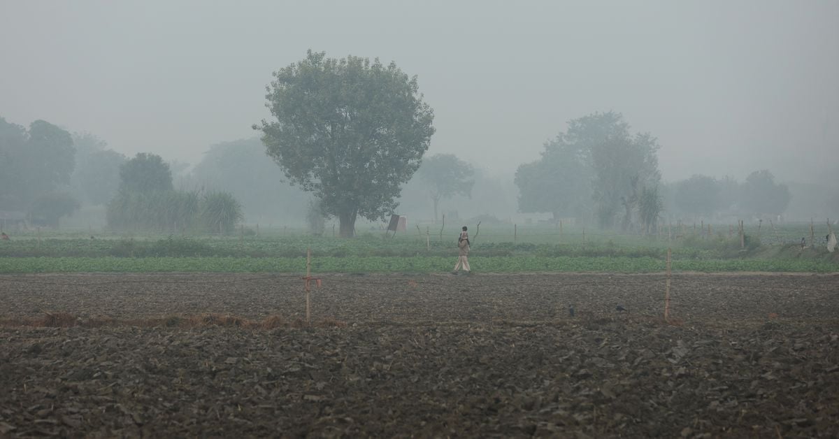 Featured image for Rain Provides Relief from Smog in Indian Capital