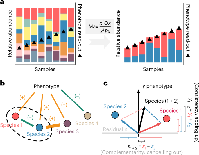 Featured image for Ecological pattern-based identification of microbial functional groups.