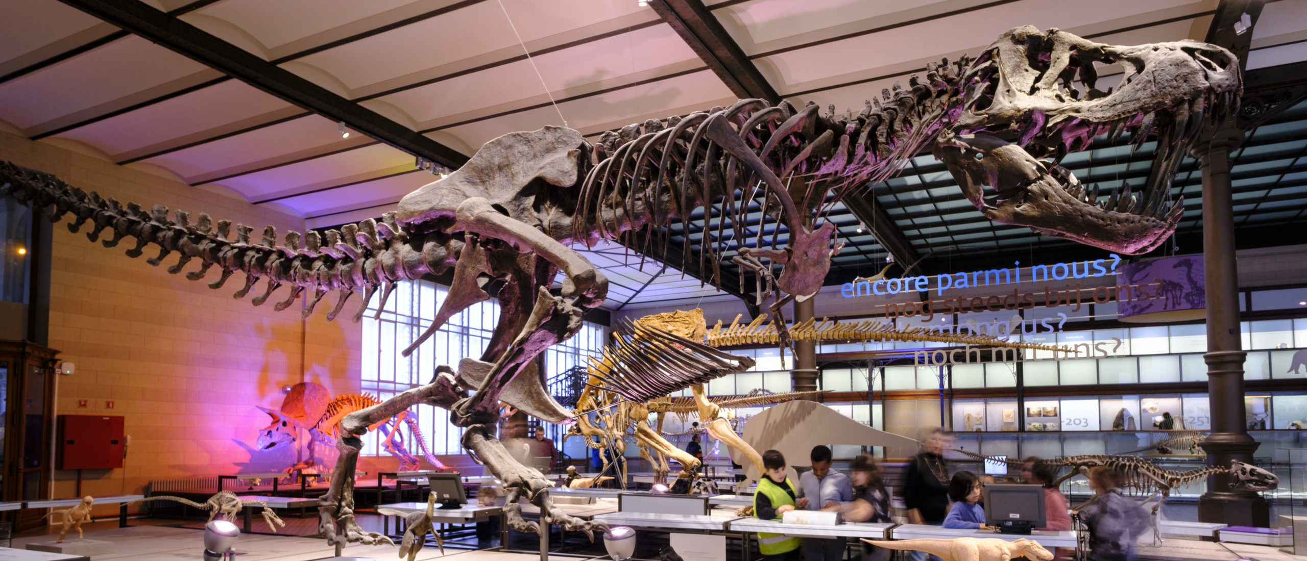 Featured image for Schoolboys Discover Rare T. Rex Fossil in North Dakota