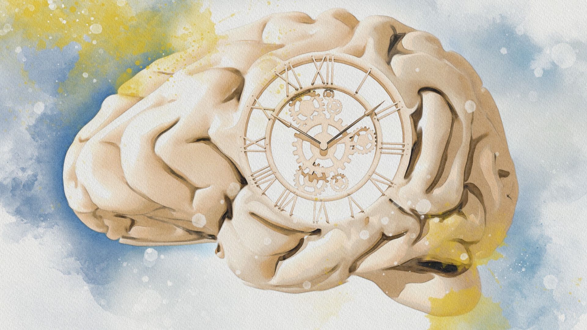 Featured image for Study Explains Why Time Feels Faster as We Age