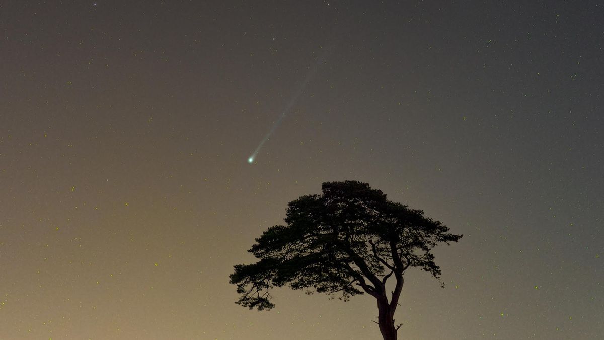"Unveiling the Spectacular 'Devil Comet' 12P/Pons-Brooks: A Guide to Safe Viewing"