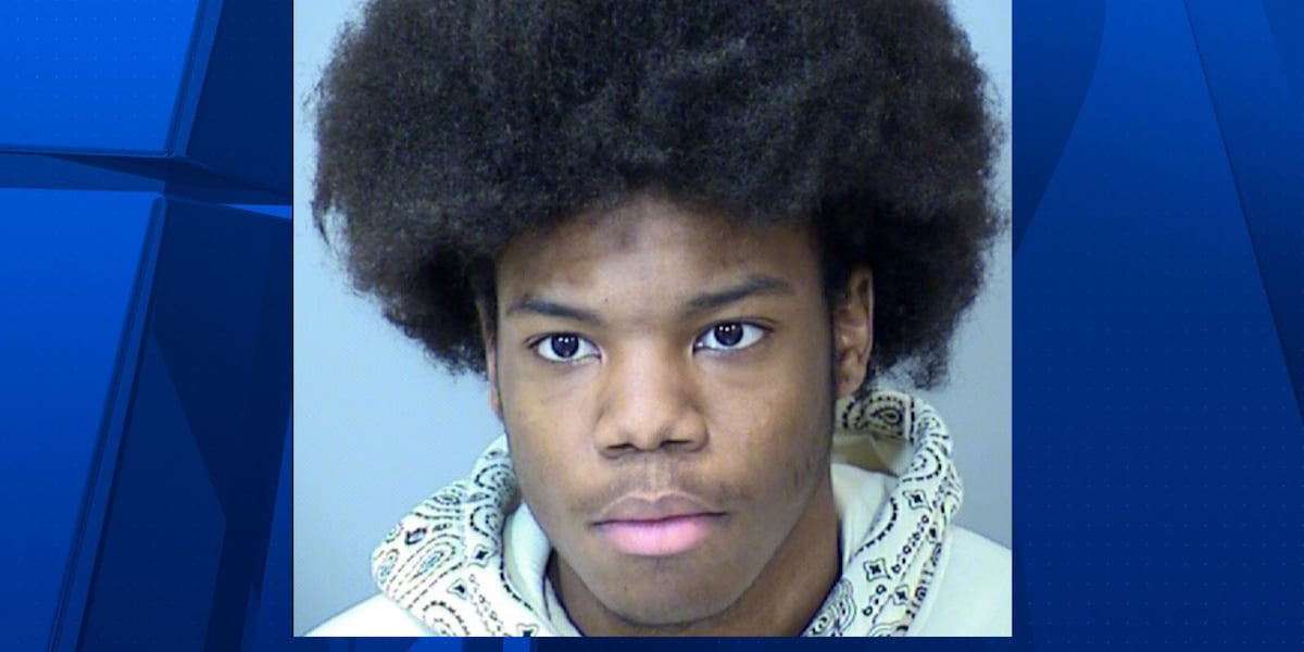 "Rising Teen Violence in Gilbert Sparks Arrest and Concerns"