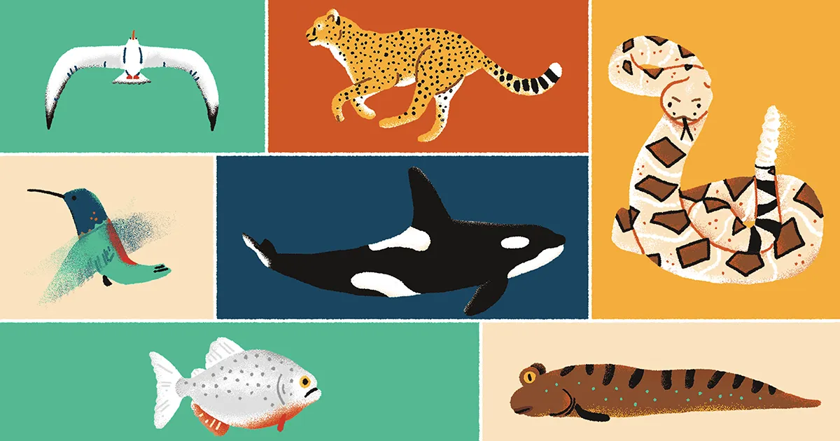 Featured image for "Neural Adjustments Alter Animal Movement"