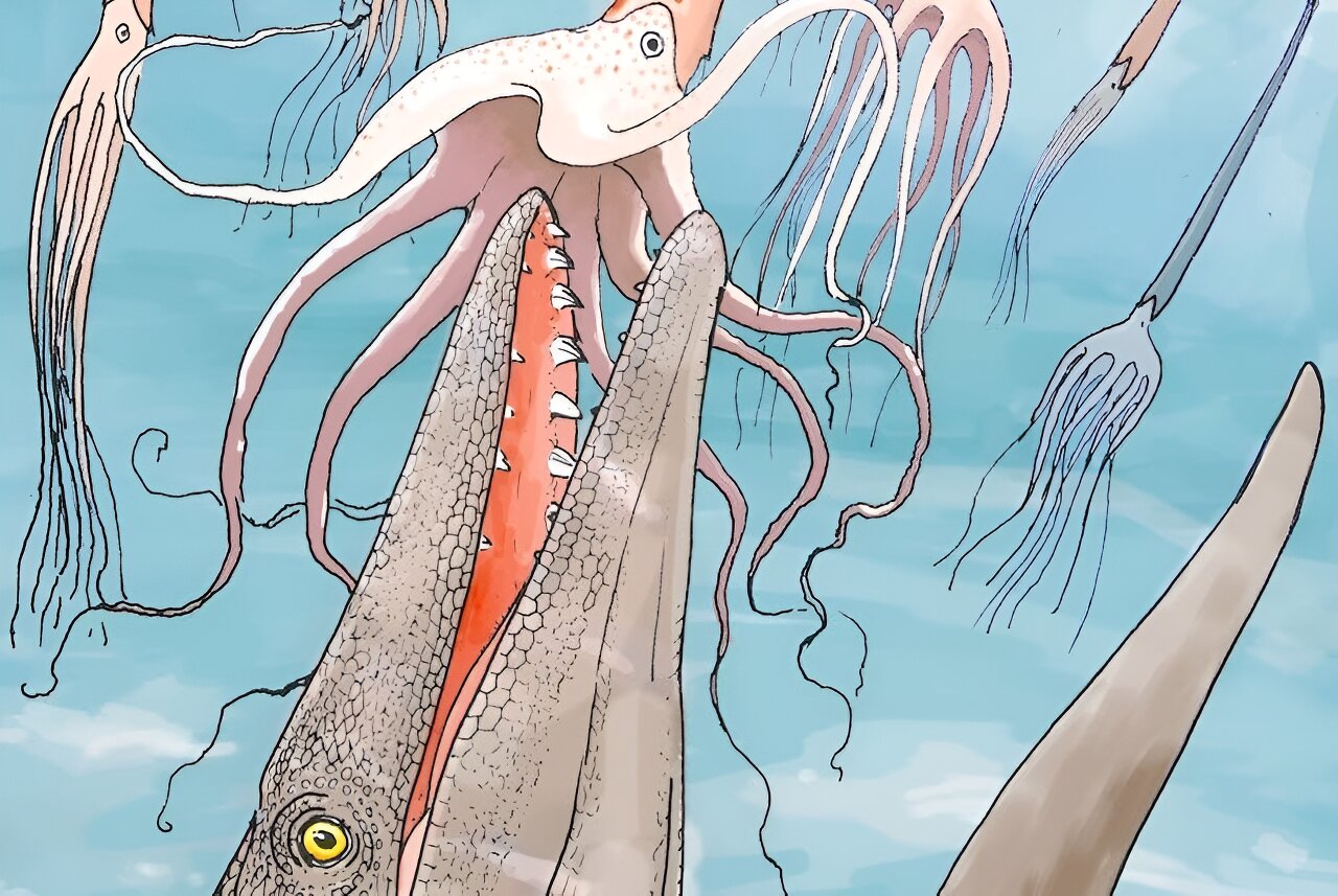 "Pre-Asteroid Morocco: Unveiling the Diverse Marine Life of 66 Million Years Ago"
