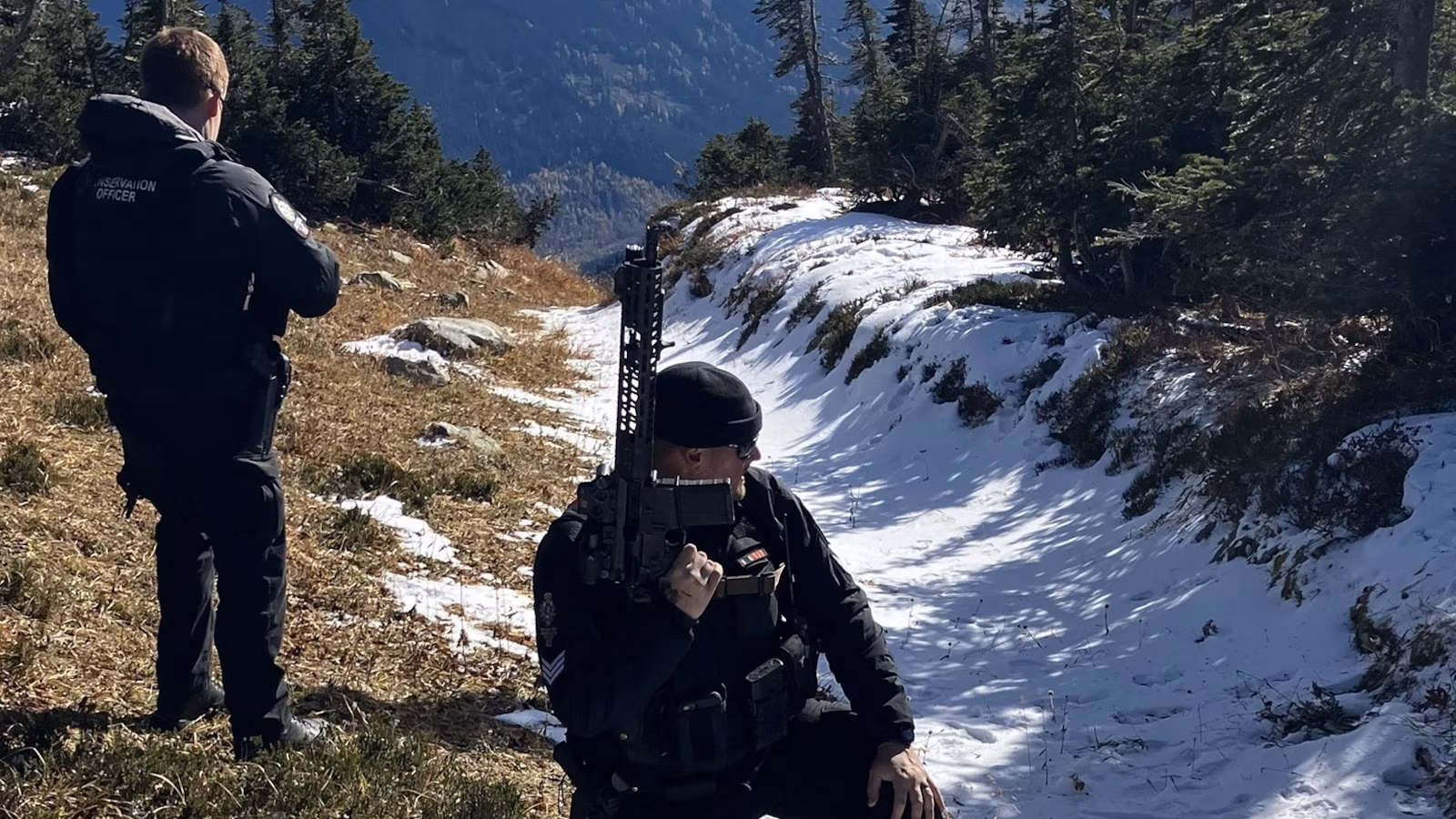 Featured image for Multiple Hikers Hospitalized After Grizzly Bear Attacks in Canada