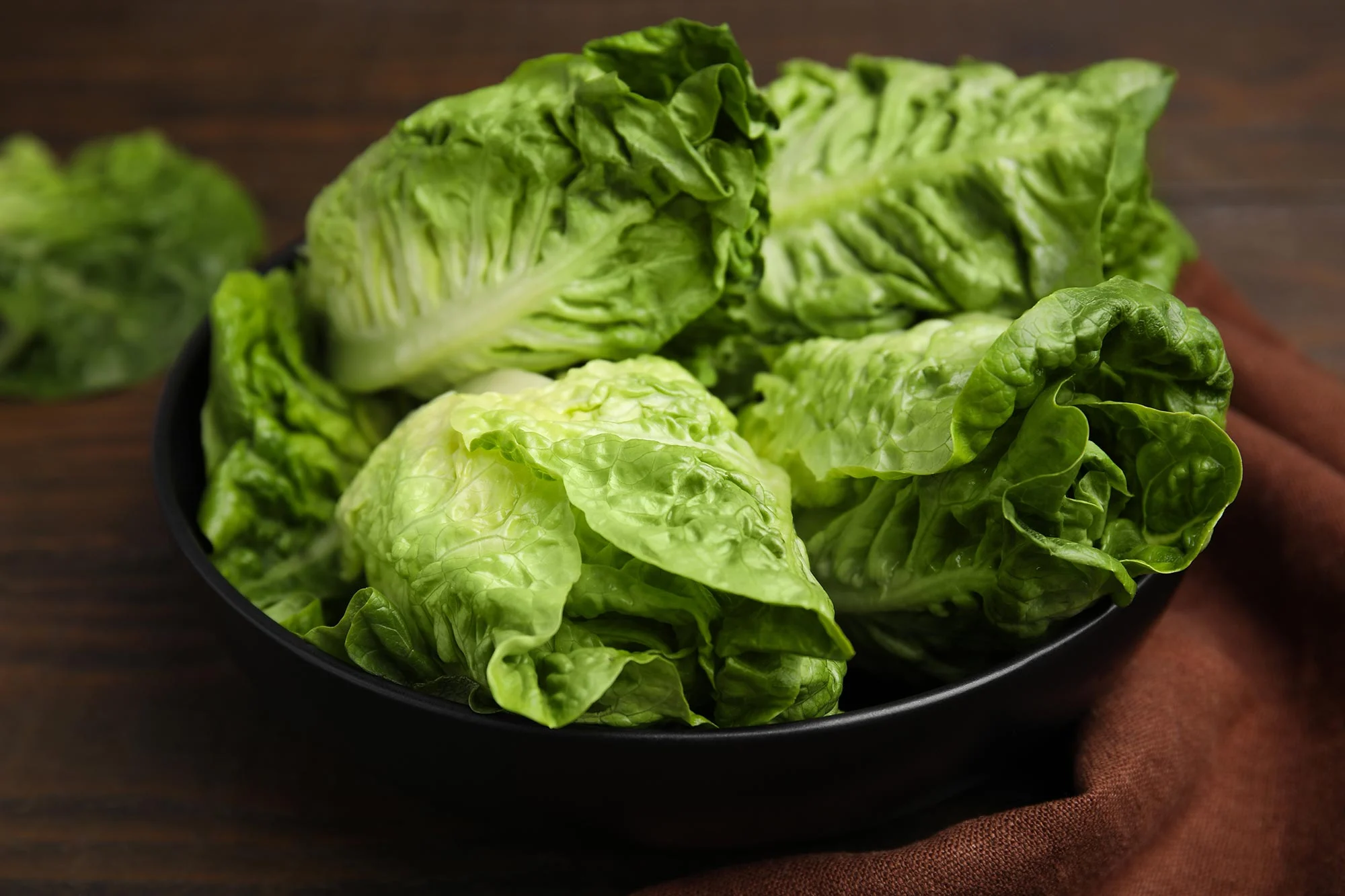 Hidden Risks: How Your Lettuce Could Be Contaminated