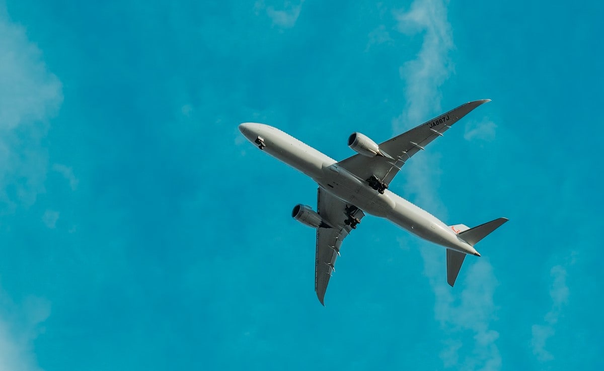 Passengers Demand Refund After Farting Dog Ruins Singapore Airlines Flight