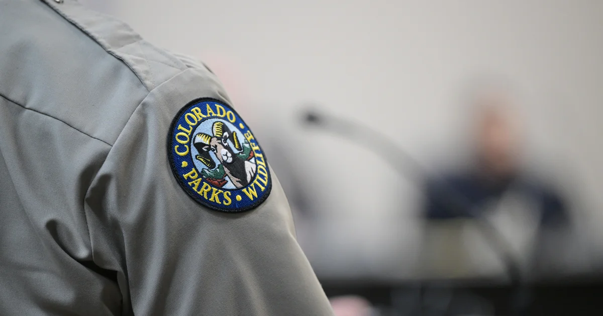 Featured image for Woman Killed in Suspected Mountain Lion Attack in Northern Colorado