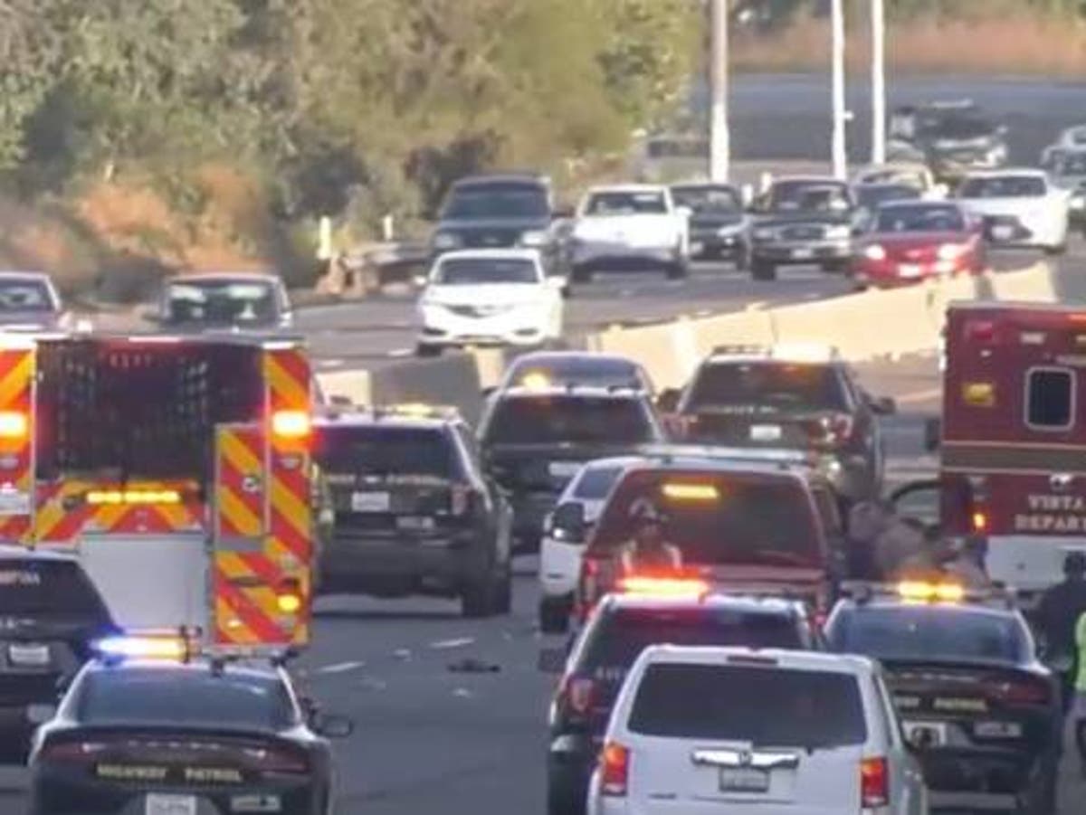 Mother's DUI leads to tragic death of two children on California freeway.