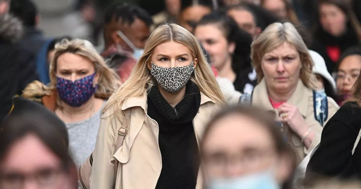 Featured image for Hidden Signs and Spread of the New COVID-19 Variant