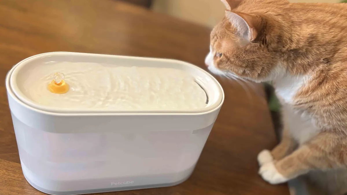 Featured image for Stylish Pet Fountain Looks So Good, I Almost Tried Drinking from It