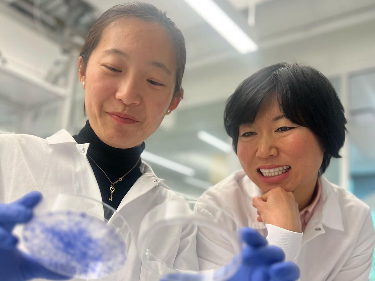 Featured image for "Stanford Team Achieves Breakthrough in Breast Cancer Research"