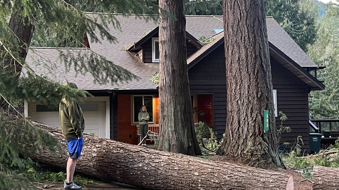 Featured image for Bomb Cyclone's Impact Lingers in Bellingham and Issaquah