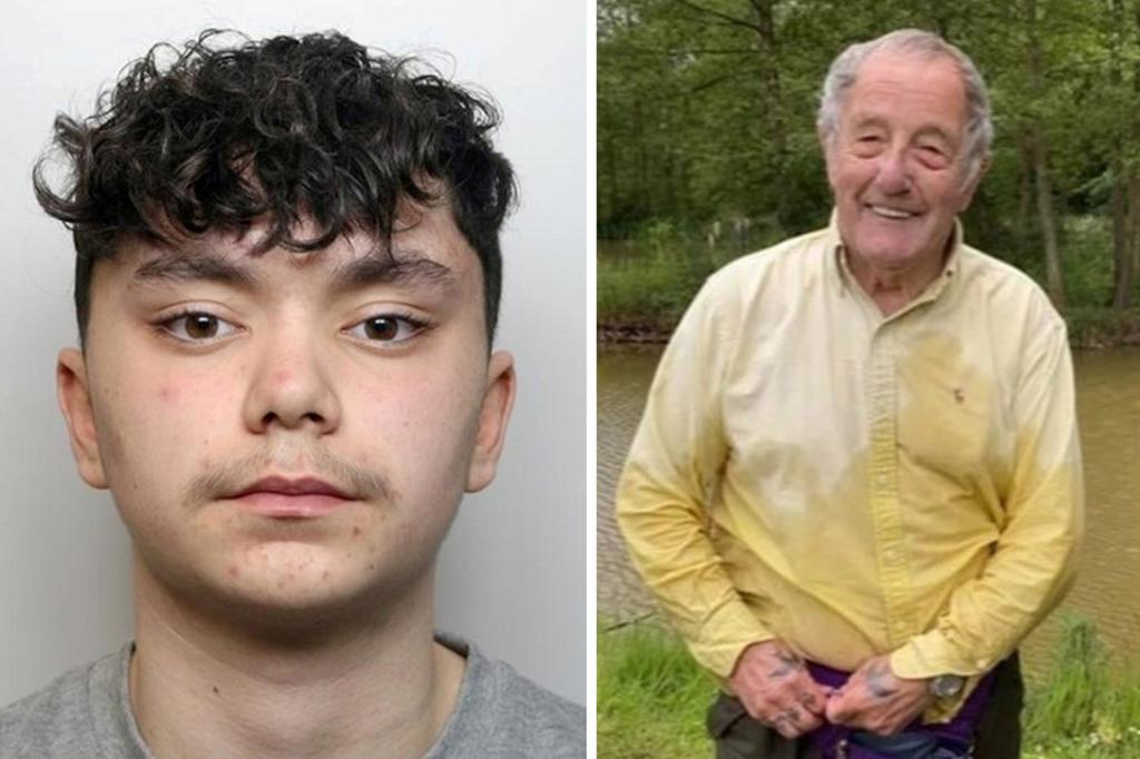 Teenager Sentenced to Youth Detention for Killing Army Veteran with Single Punch