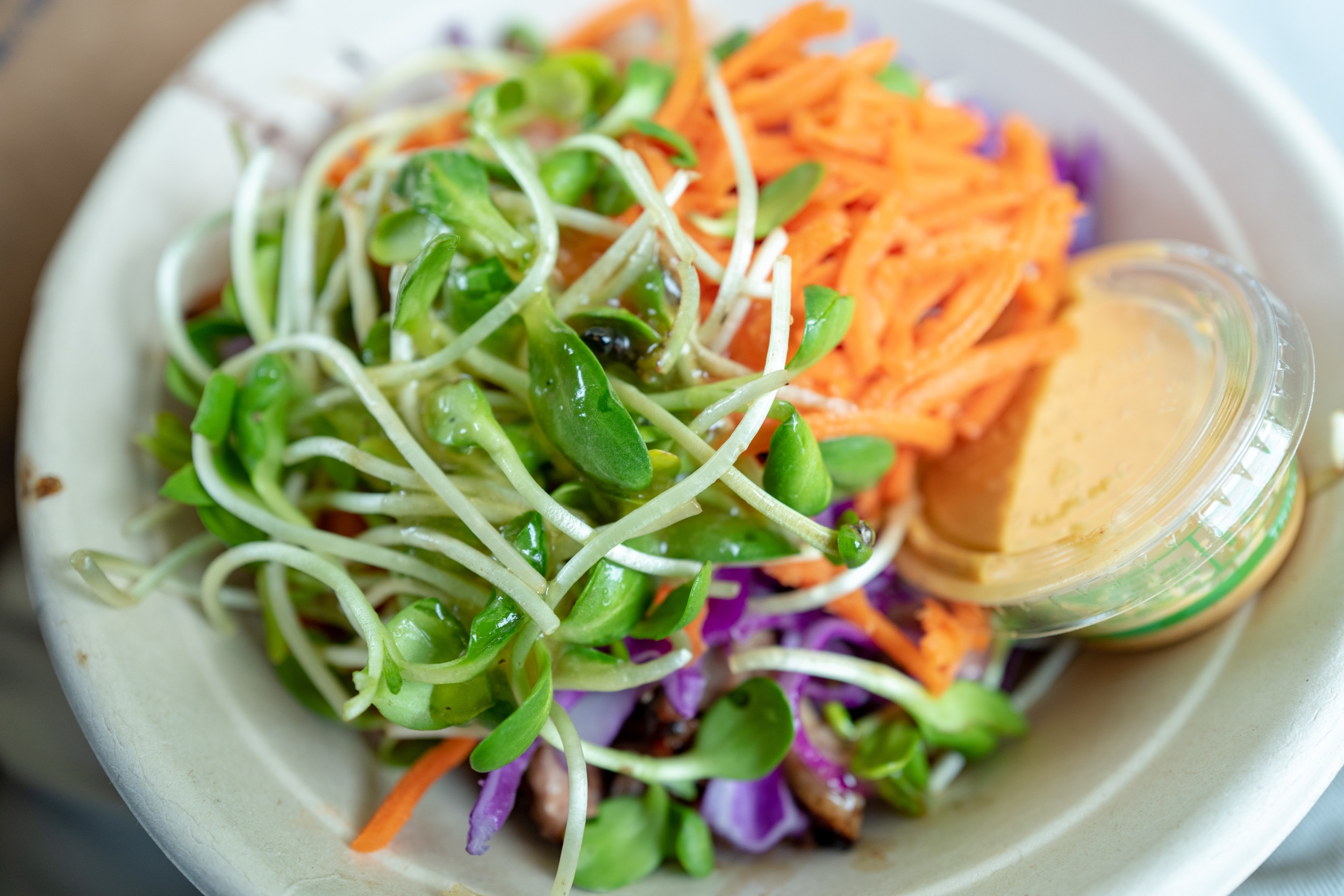 Featured image for "Breakthrough Study Unveils Method to Drastically Lower Biological Age"