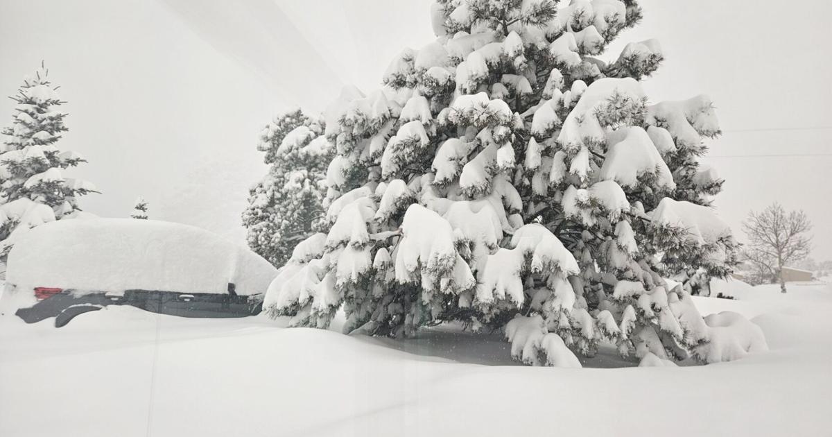 Featured image for "Oscars 2024: Behind the Scenes and Snow Totals in Colorado Springs"