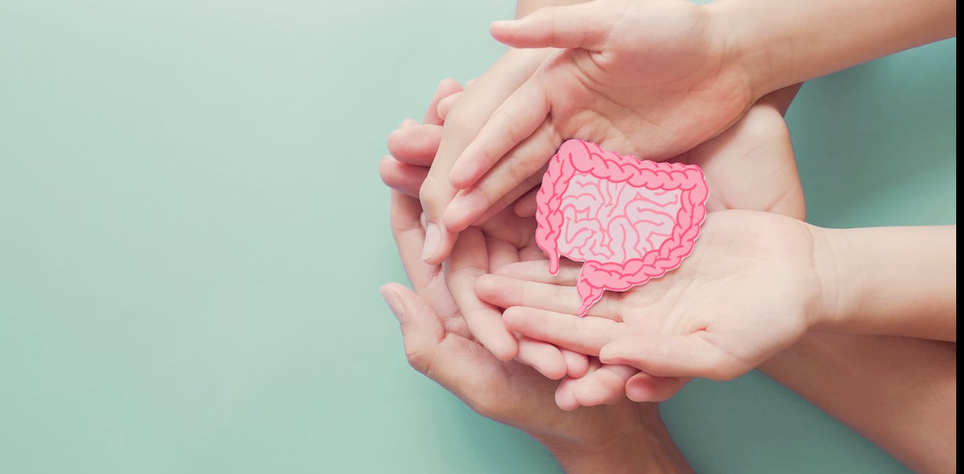 "Optimizing Gut Health: 2024 Microbiome Maintenance Guide"