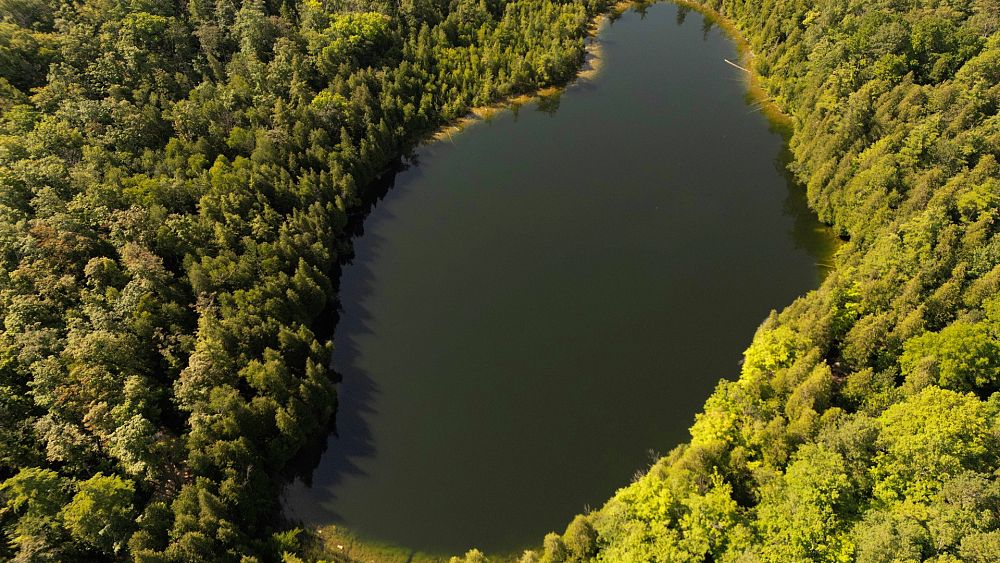 Featured image for Crawford Lake in Canada: A Defining Site for the Anthropocene Age