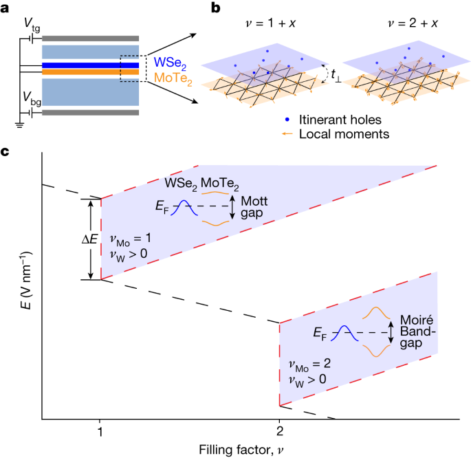 Featured image for Controlling Heavy Fermions with Moiré Kondo Lattice Gates.