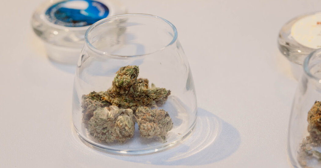 Study Links Daily Marijuana Use to Increased Heart Disease Risk