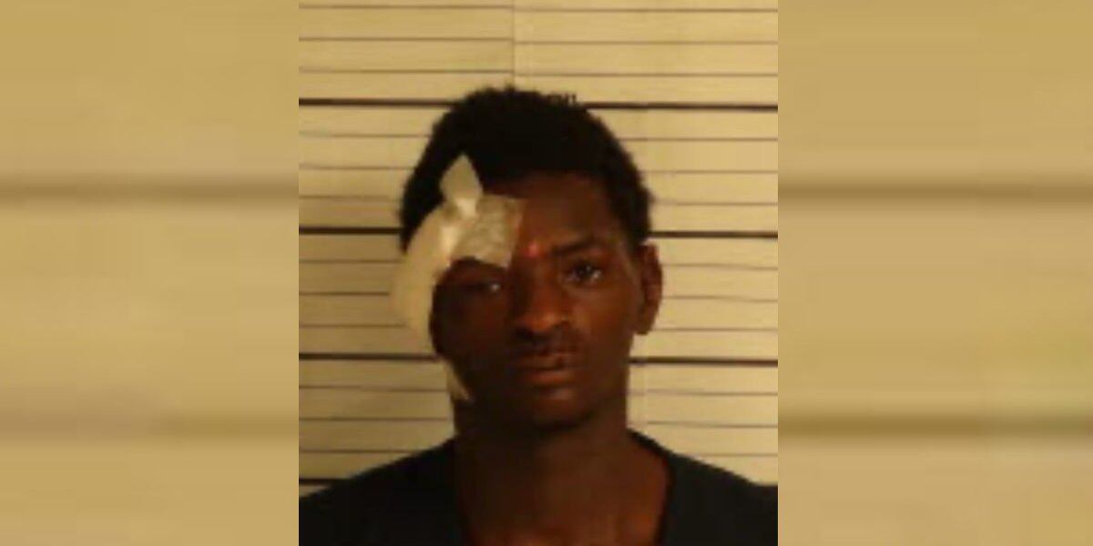 Fatal Stolen Car Chase in Parkway Village Ends in Arrest