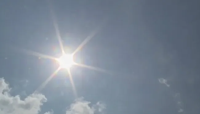 Heatwave Forces Schools to Implement Half-Day Schedules