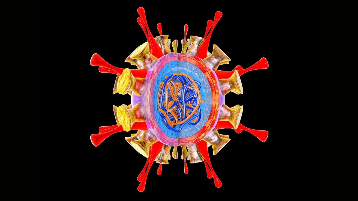 Featured image for CDC Study Warns of Evolving H5N1 Bird Flu Threat to Mammals