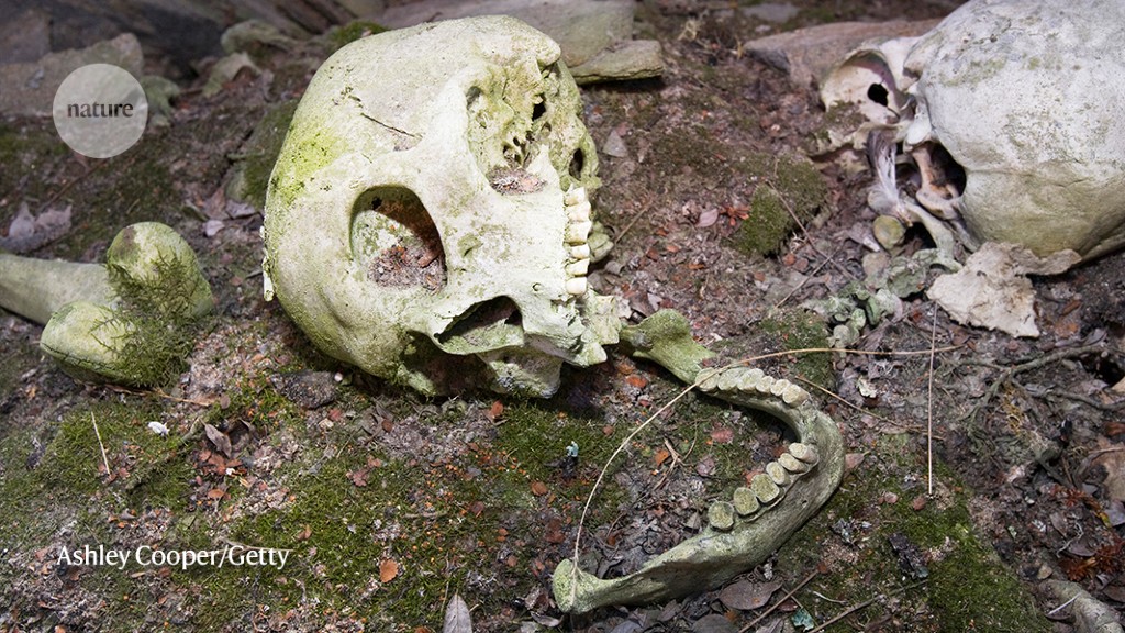 Ancient-human genome count reaches unprecedented 10,000.