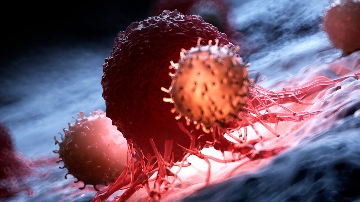 Featured image for Scientists Find Protein Blockade Slows Cancer in Mice