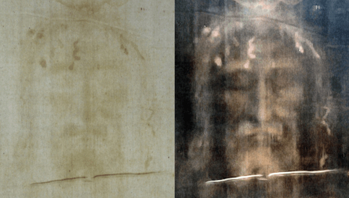 Discoveries from the Study of the Shroud of Turin