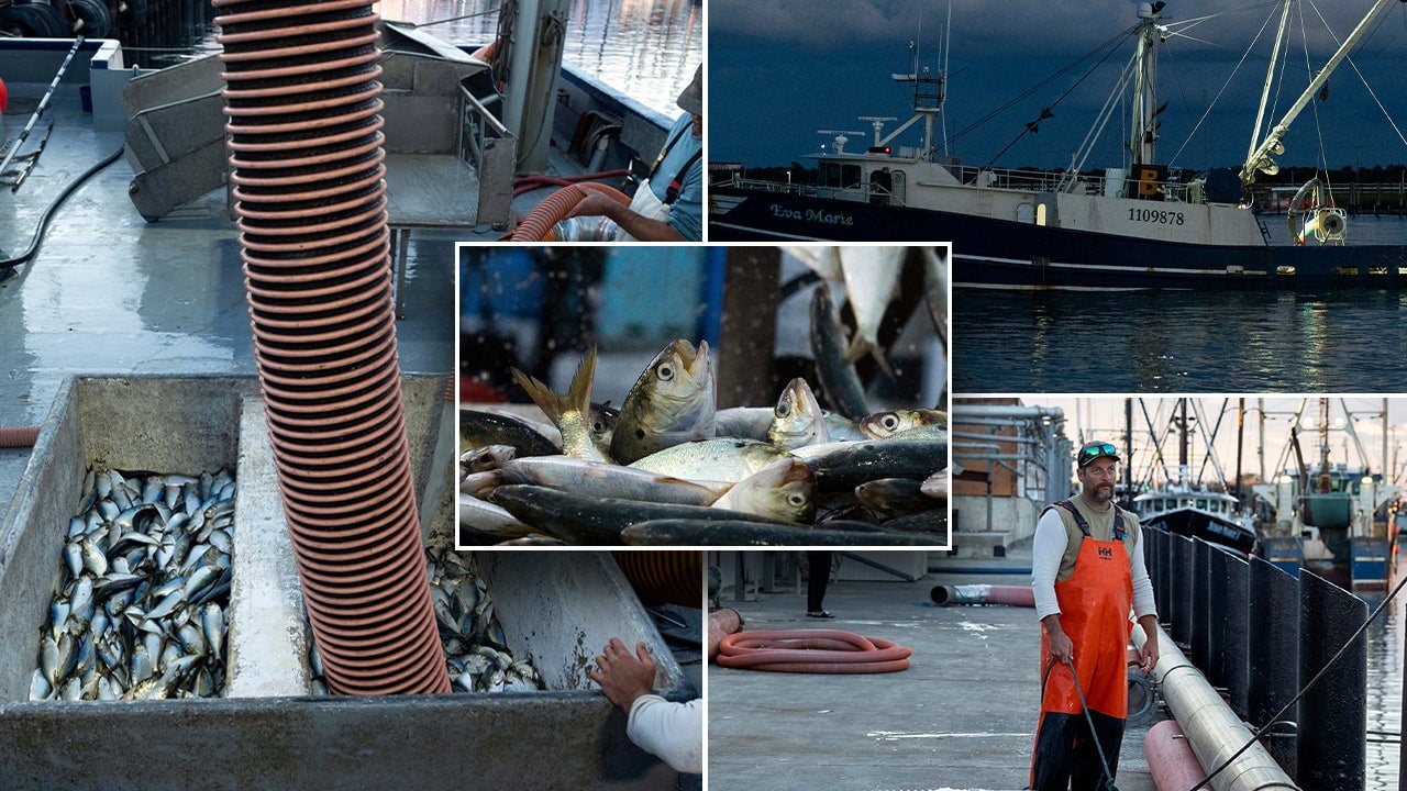 Featured image for "Supreme Court Rulings: The Future of Federal Agency Regulatory Authority"