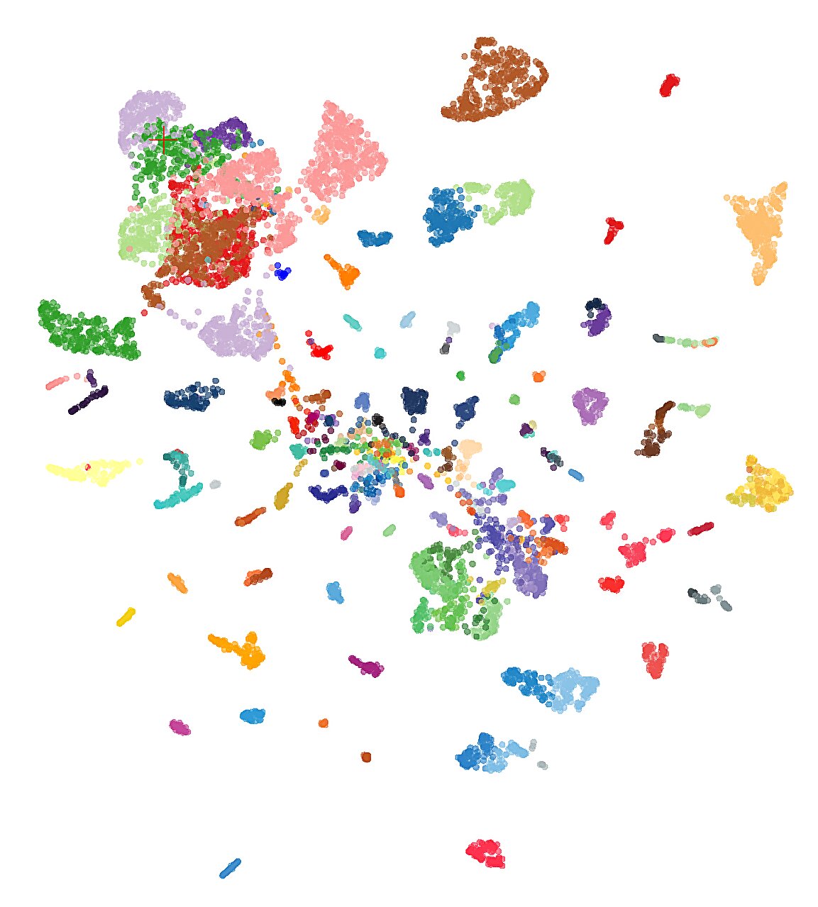 Featured image for AI Advances Transform Cancer Detection and Treatment