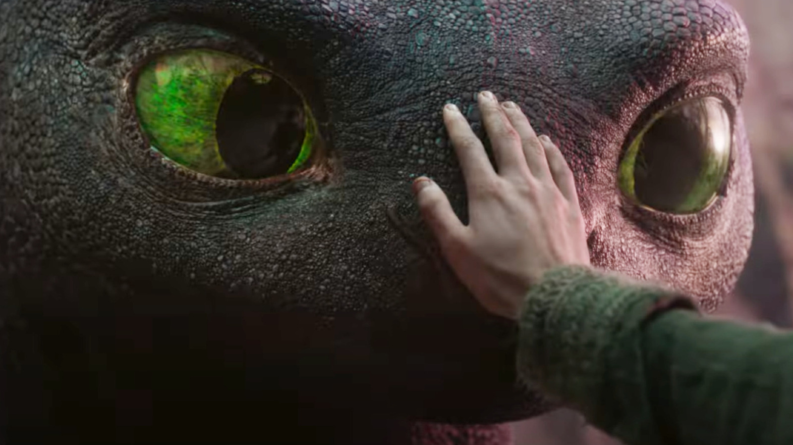 Featured image for First Look at Live-Action 'How to Train Your Dragon' Teaser