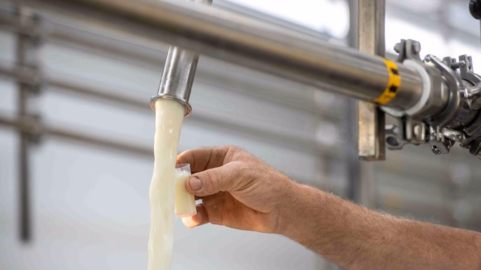 Bird Flu Contamination Triggers California Raw Milk Recall
