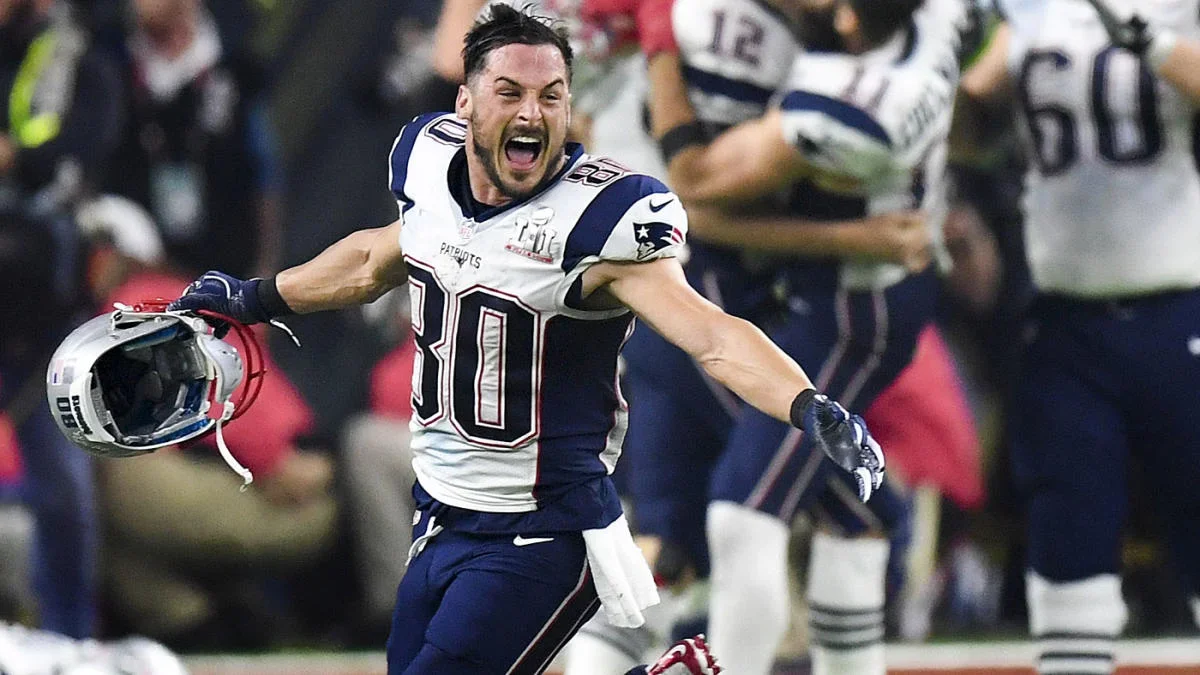 Danny Amendola Joins AFC Coaching Staff, Signs with Raiders.