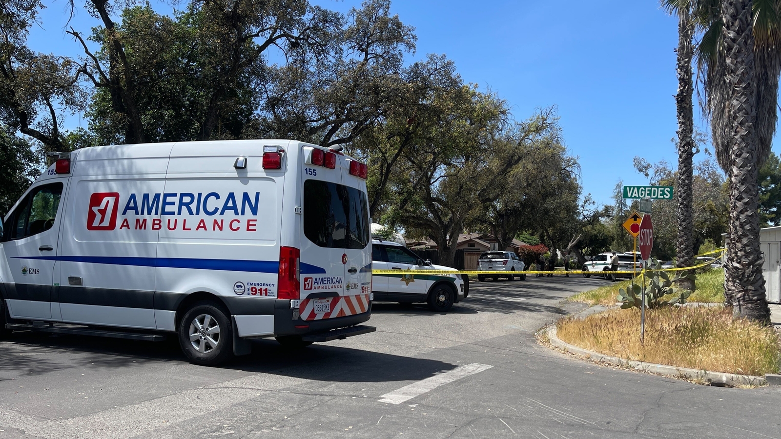 Featured image for Fatal Car Accidents in Fresno