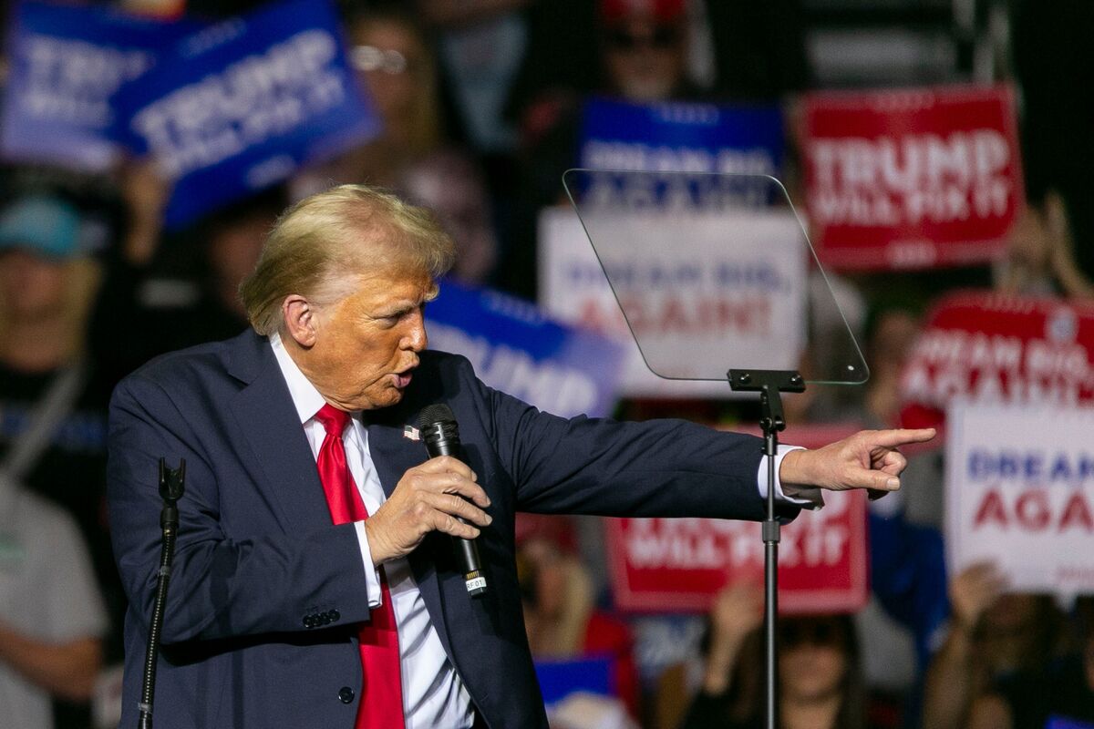 Market Optimism Surges Amid Trump's Economic Influence