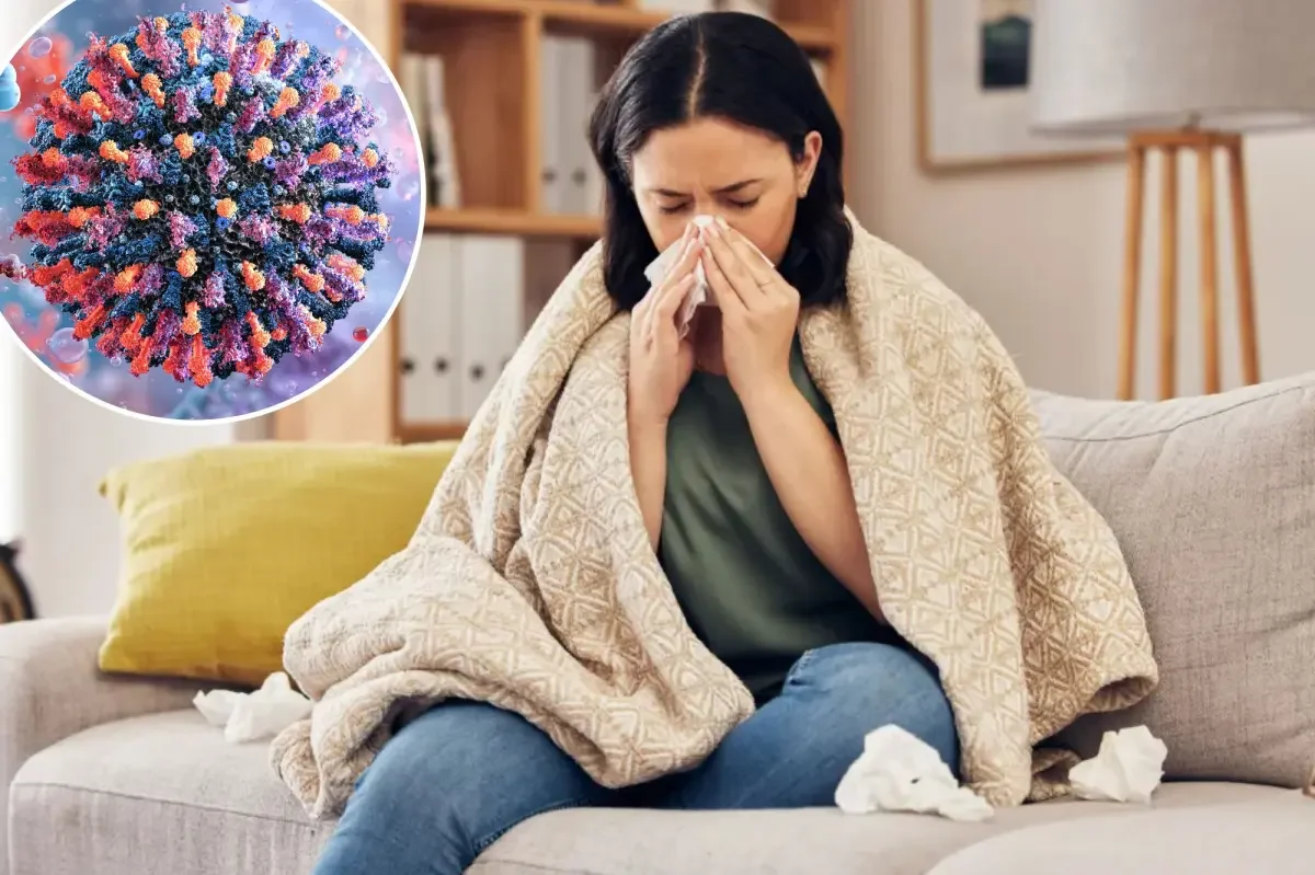 Hidden respiratory virus HMPV surges as flu wanes