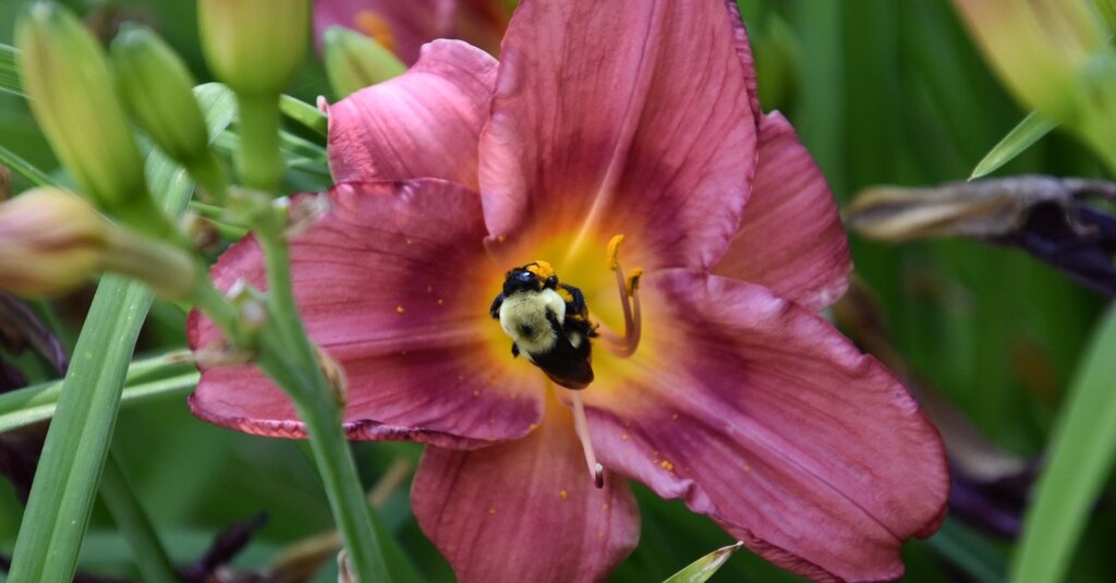 Featured image for "NYT Spelling Bee: December 15, 2023 Answers Revealed"