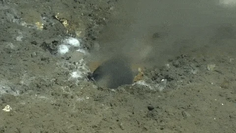 Underwater Leak Sparks Apocalyptic Fears