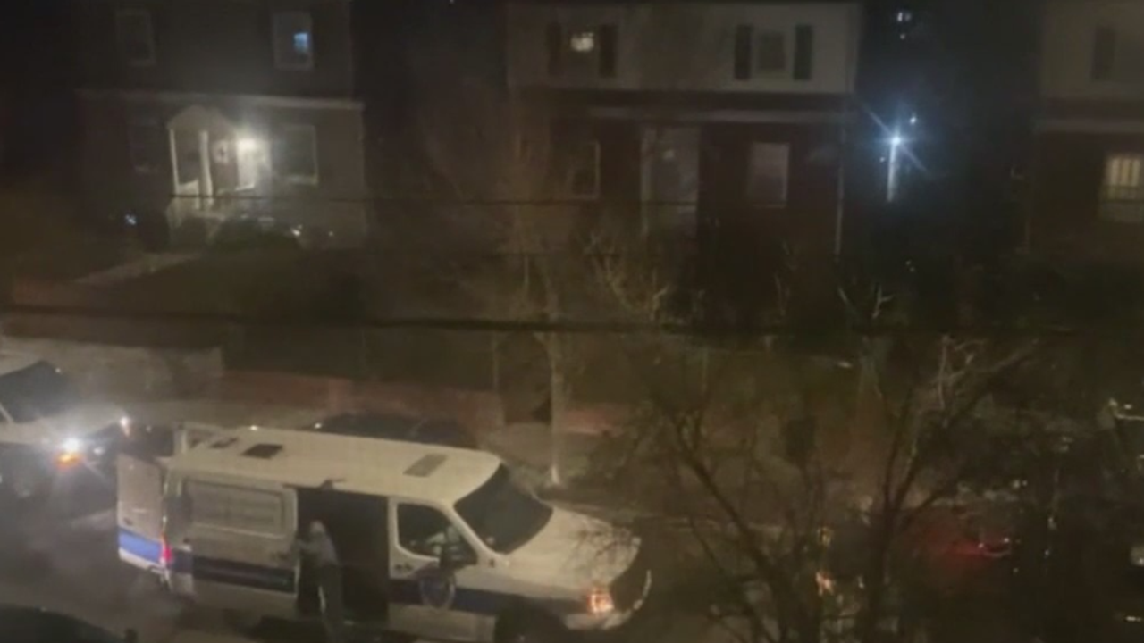 Featured image for "Standoff Ends: Suspect Surrenders After Shooting 3 DC Police Officers and 31 Dogs Removed from Home"