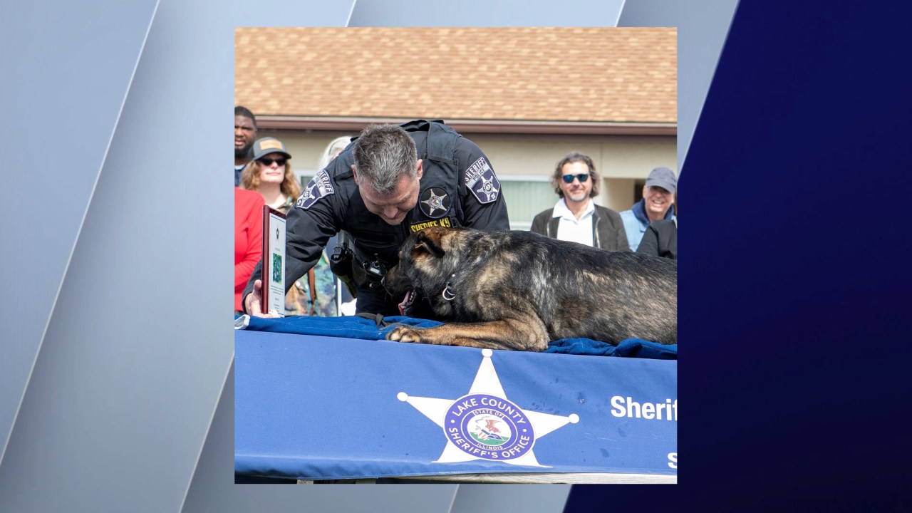 Featured image for Beloved Retired K9 Dax Dies Shortly After Retirement