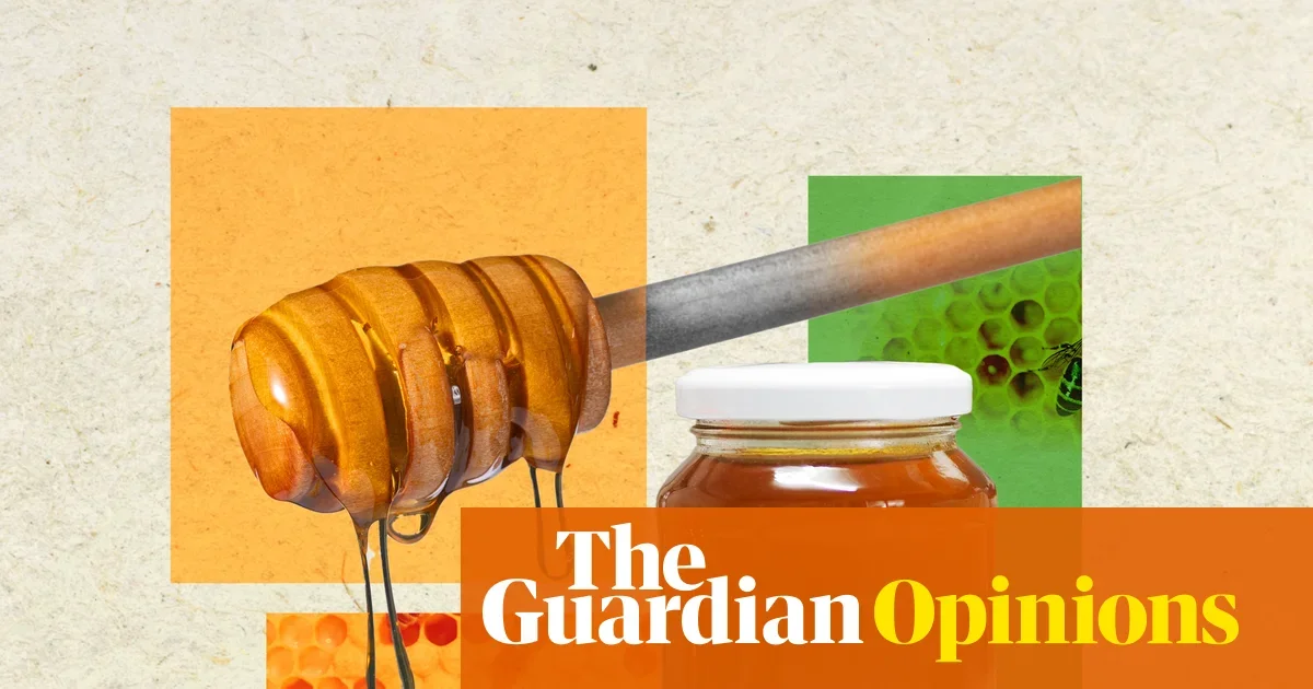 Honey: potent wound ally but not a universal cure